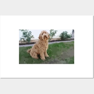 Labradoodle Digital Painting Posters and Art